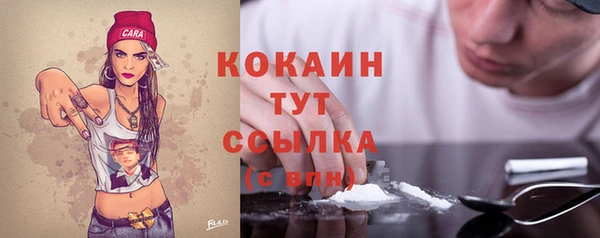 прущий лед Алексин