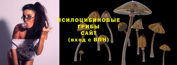 кристаллы Алзамай
