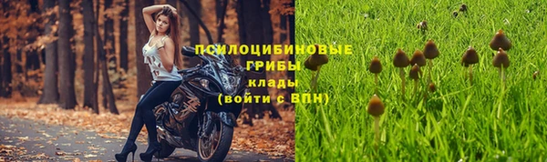 кристаллы Алзамай
