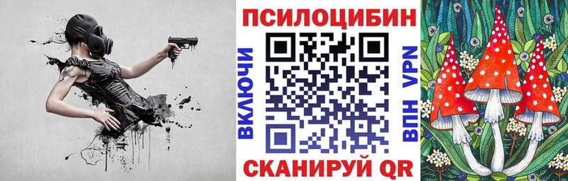 blacksprut ссылка  наркота  Вихоревка  Галлюциногенные грибы Psilocybine cubensis 