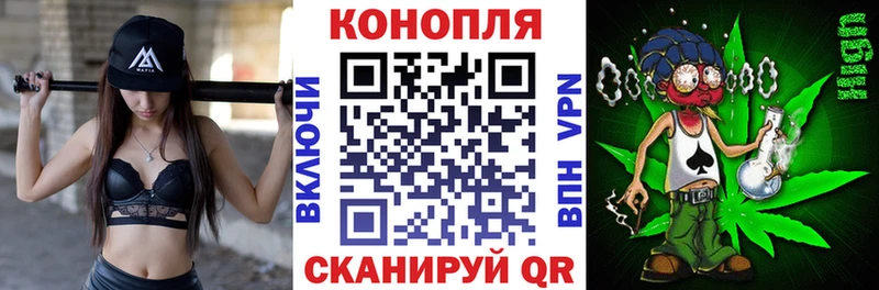 Шишки марихуана индика Вихоревка